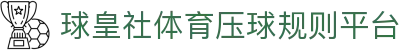 球皇社足球比分直播_今日赛程查询与球队动态速览